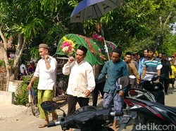 Tawon Vespa yang Serang Pasutri hingga Tewas di Pemalang Disebut Baluh