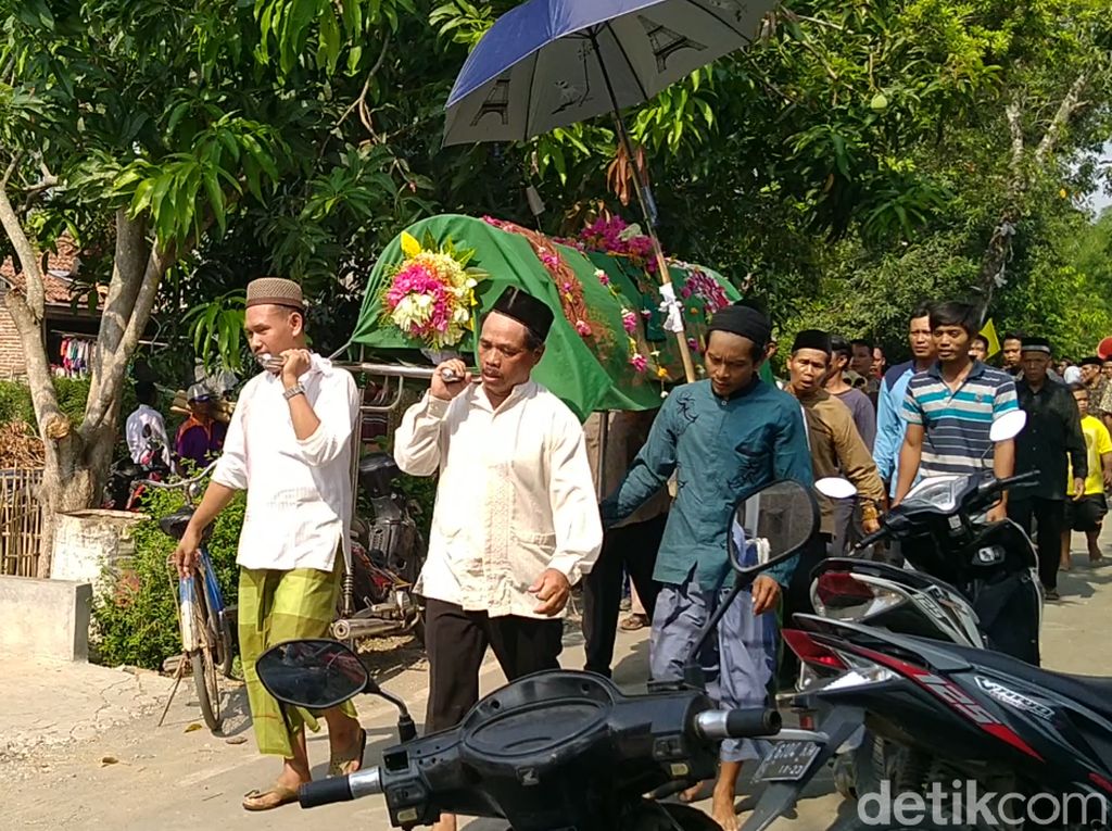 Suami Istri di Pemalang Tewas Diserang Tawon Vespa Suami Istri di Pemalang Tewas Diserang Tawon Vespa