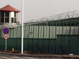Jerman Diminta Ambil Tindakan terhadap Penahanan Muslim Uighur di China Jerman Diminta Ambil Tindakan terhadap Penahanan Muslim Uighur di China