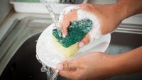 Kenali 9 Spot Paling Jorok di Dapur, Potensi Jadi Sarang Kuman