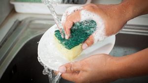 Kenali 9 Spot Paling Jorok di Dapur, Potensi Jadi Sarang Kuman