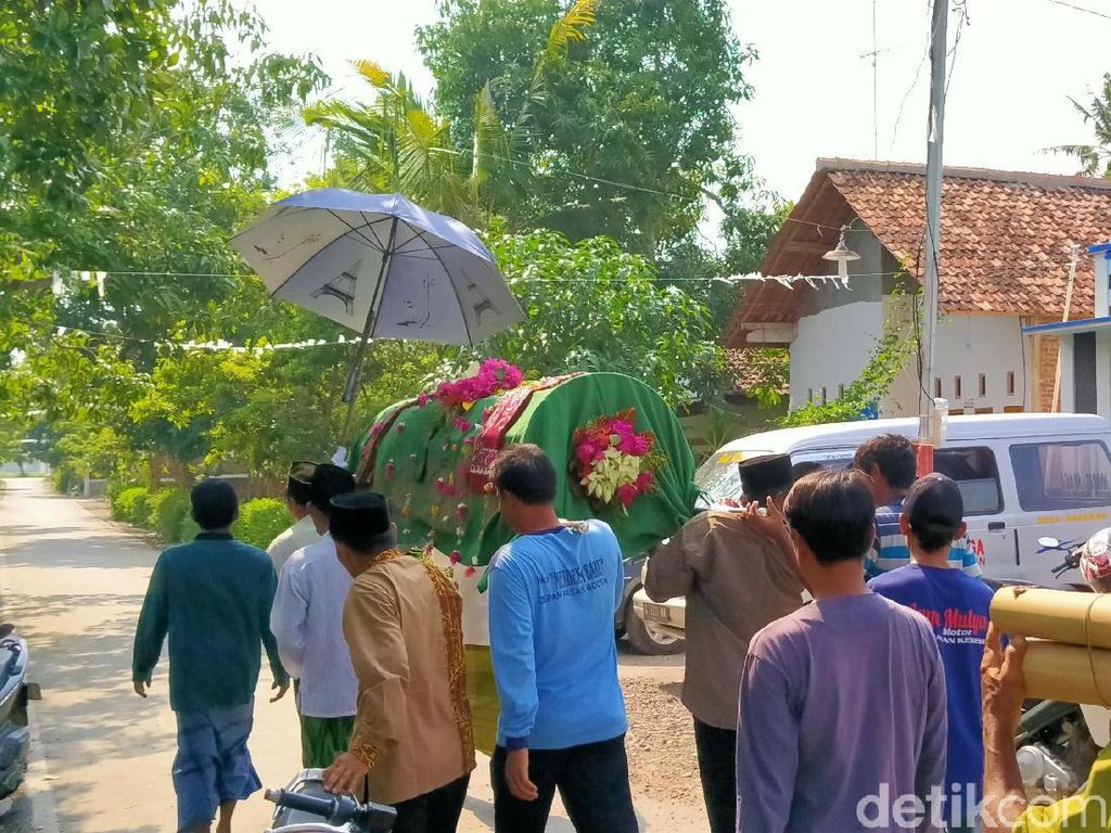 Kronologi Tewasnya Pasutri Akibat Serangan Tawon Vespa di Pemalang Kronologi Tewasnya Pasutri Akibat Serangan Tawon Vespa di Pemalang
