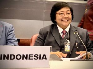 KLHK Putus Kerja Sama, WWF Indonesia Menyayangkan KLHK Putus Kerja Sama, WWF Indonesia Menyayangkan