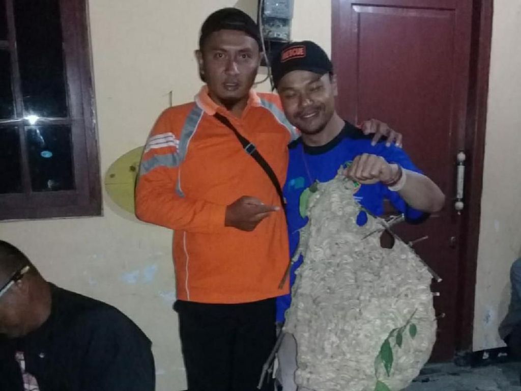 Waspada! Tawon Vespa Mulai Menyebar ke Colomadu Karanganyar Waspada! Tawon Vespa Mulai Menyebar ke Colomadu Karanganyar