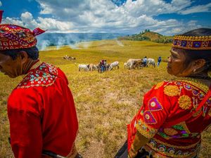 Melihat Peternakan Leluhur di Lembah Lore