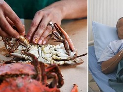 Waduh! Makan Seafood Sisa Semalam, Kakek di China Hampir Tewas