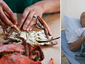 Waduh! Makan Seafood Sisa Semalam, Kakek di China Hampir Tewas Waduh! Makan Seafood Sisa Semalam, Kakek di China Hampir Tewas