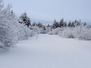Ini Cara Liburan Hemat ke Islandia, Negeri Beku Bak Film Frozen II