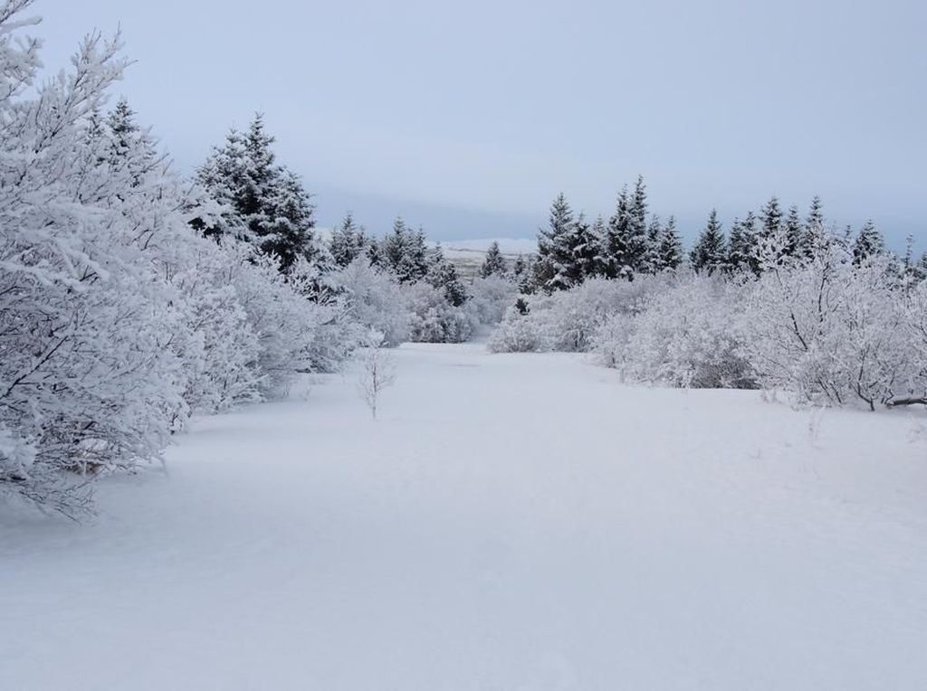 Ini Cara Liburan Hemat ke Islandia, Negeri Beku Bak Film Frozen II Ini Cara Liburan Hemat ke Islandia, Negeri Beku Bak Film Frozen II