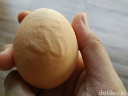 Video Telur Ayam yang Disebut Pemiliknya Bertekstur Lafaz Allah
