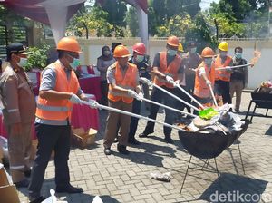 227 Saset Benih Ilegal dari 10 Negara Dimusnahkan 227 Saset Benih Ilegal dari 10 Negara Dimusnahkan