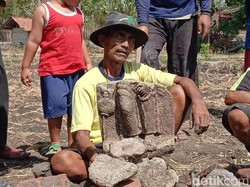 Petani di Ponorogo Temukan Arca Saat Bajak Sawah