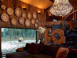 Hotel Ini Tawarkan Sensasi Tidur Bareng Singa & Macan