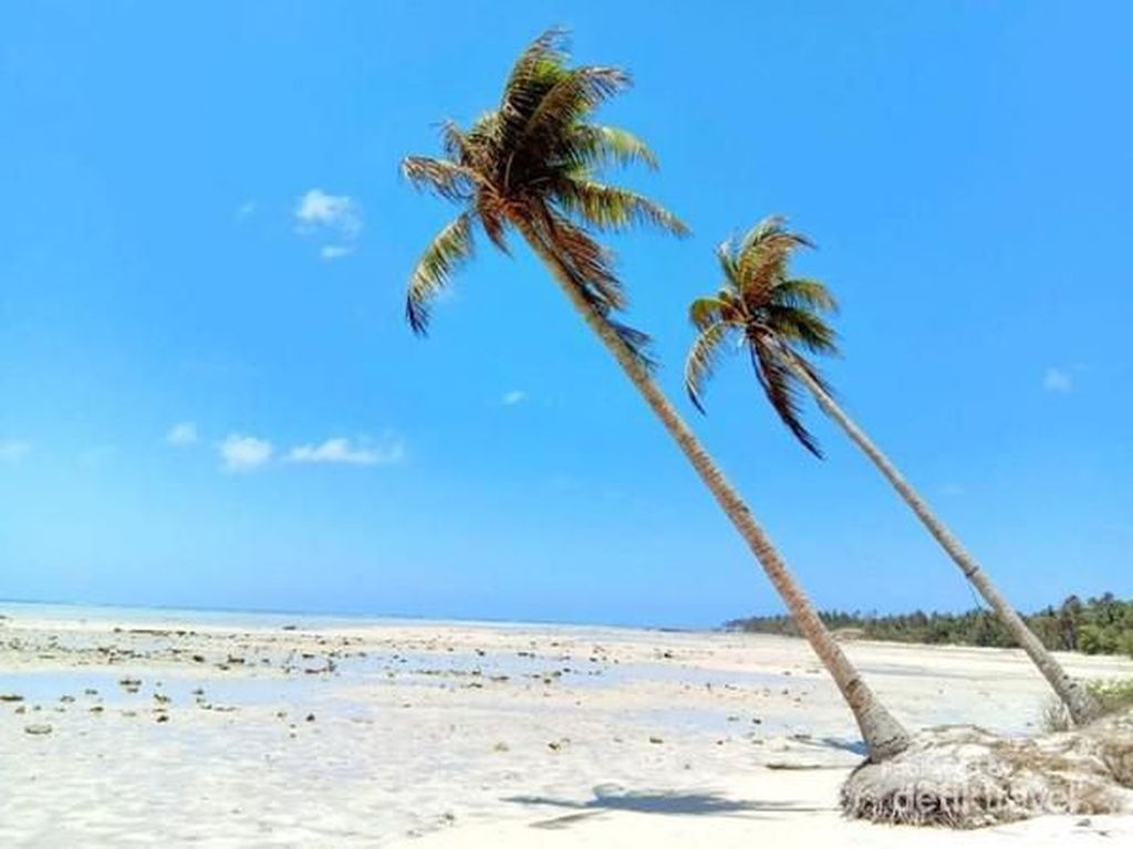 Cantiknya Masalembu yang Dijuluki Segitiga Bermuda Indonesia Cantiknya Masalembu yang Dijuluki Segitiga Bermuda Indonesia