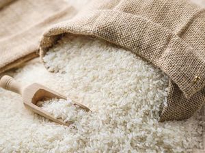 Bos Badan Pangan Wanti-wanti Harga Beras hingga Ayam Terus Naik Bos Badan Pangan Wanti-wanti Harga Beras hingga Ayam Terus Naik