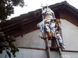 Jangan Panik! Simak Tips Tangani Sarang Tawon Vespa