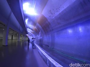 Pangandaran Punya Akuarium Raksasa, Kapan Bakal Buka?