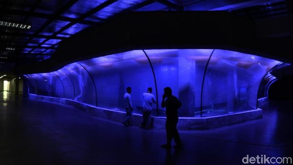 Yuk Intip Wujud Akuarium Raksasa Pangandaran