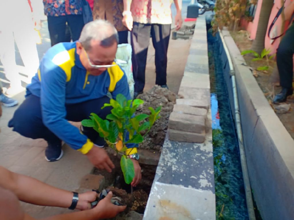Biar Makin Adem, Pemkot Semarang Akan Tanam Pohon Serentak Biar Makin Adem, Pemkot Semarang Akan Tanam Pohon Serentak