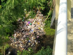 Teror Bangkai Unggas Resahkan Desa Wisata Janti di Klaten