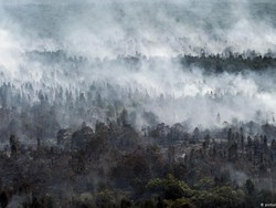 RI Targetkan Nol Emisi Karbon 2060, Pengusaha Usul Ini