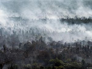 Begini Cara CarbonX Geber Net Zero Emmision Begini Cara CarbonX Geber Net Zero Emmision