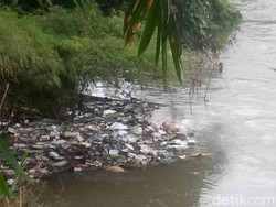 2 Warga Pembuang Bangkai Babi di Medan Diringkus Polisi
