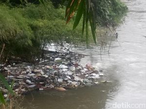 2 Warga Pembuang Bangkai Babi di Medan Diringkus Polisi 2 Warga Pembuang Bangkai Babi di Medan Diringkus Polisi