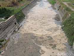 Sungai Avur Budug Jombang Juga Tercemar Mikroplastik, Pabrik Ini Biangnya
