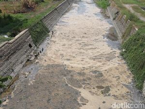 Pabrik Kertas Diduga Cemari Avur Budug di Jombang Didesak Dipidanakan Pabrik Kertas Diduga Cemari Avur Budug di Jombang Didesak Dipidanakan