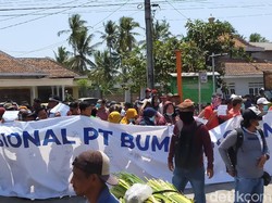 Massa Proinvestasi Demo Protes Kebijakan Seorang Kades di Banyuwangi