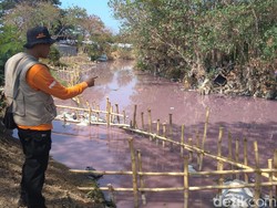 Bupati Cirebon Bakal Cari Solusi Limbah dan Sampah di Sungai Pink
