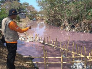 Bupati Cirebon Bakal Cari Solusi Limbah dan Sampah di Sungai Pink Bupati Cirebon Bakal Cari Solusi Limbah dan Sampah di Sungai Pink