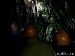 3 Warga di Jaktim Luka Diserang Tawon Vespa, Damkar Turun Tangan