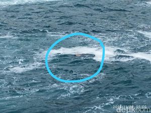 Anak yang Hilang Bersama Ayahnya di Pantai Gunungkidul Ditemukan Meninggal