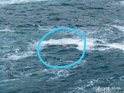 Anak yang Hilang Bersama Ayahnya di Pantai Gunungkidul Ditemukan Meninggal