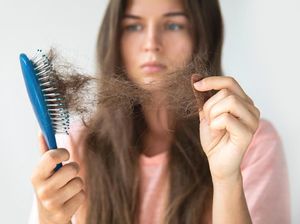 Takut Rambut Rontok? Coba Konsumsi 6 Makanan Sehat Ini Takut Rambut Rontok? Coba Konsumsi 6 Makanan Sehat Ini