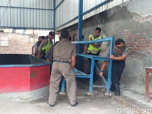 Polisi dan TNI Bongkar Arena Sabung Ayam di Sidoarjo