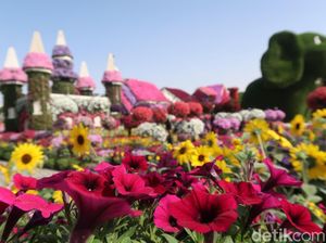 Foto: Taman Bunga Terbesar Dunia di Dubai