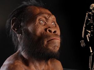 Disebut Punah Karena Malas, Spesies Homo Erectus Punya Pola Makan Beragam Disebut Punah Karena Malas, Spesies Homo Erectus Punya Pola Makan Beragam