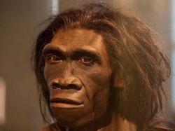 Ilmuwan Temukan DNA Manusia Purba Tertua Berusia 23.000 Tahun, Ada di Negara Ini