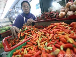 Terkuak! Ini Sebab Musabab Harga Telur-Cabai Melonjak