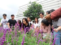 Wisata Rumah Atsiri Akan Kembali Buka Juni