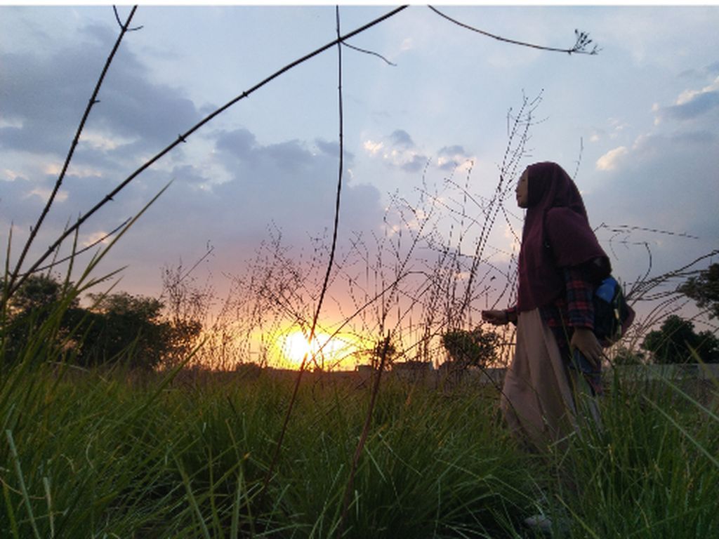 Menanam Akar Wangi di Bantaran Bengawan Solo Menanam Akar Wangi di Bantaran Bengawan Solo