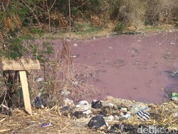 Limbah Organik Penyebab Air Sungai Ciberes Cirebon Jadi Pink