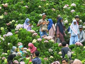 Surganya Pencinta Bunga di Jawa Timur