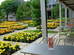 Bung Karno dan Bekas Pabrik yang Instagrammable di Karanganyar