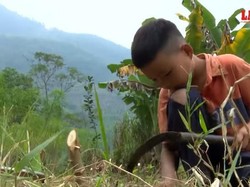 Maju-Mundur Pembelajaran Tatap Muka