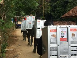 Melihat Proses 10 Kukang Jawa Dilepasliarkan di Gunung Sawal Ciamis