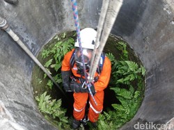 Aksi Tim Rescue Selamatkan 2 Kucing Tercebur Sumur di Klaten